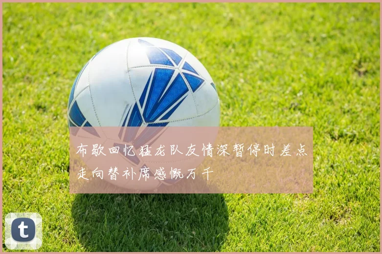 布歇回忆猛龙队友情深暂停时差点走向替补席感慨万千